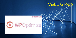 WP Optimize
